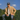 Classic Cowboy The Clubhouse performance golf hat worn, lifestyle photo.